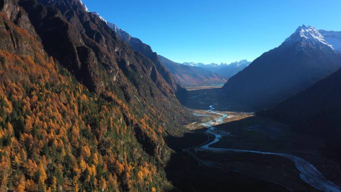 西藏巴松措 措高村牧场湿地和雪山森林