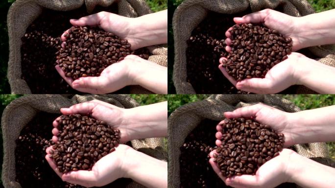 农民检查咖啡豆咖啡豆手捧咖啡豆咖啡豆原产