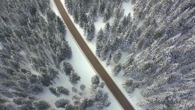 冬天的松林雪地公路大雪