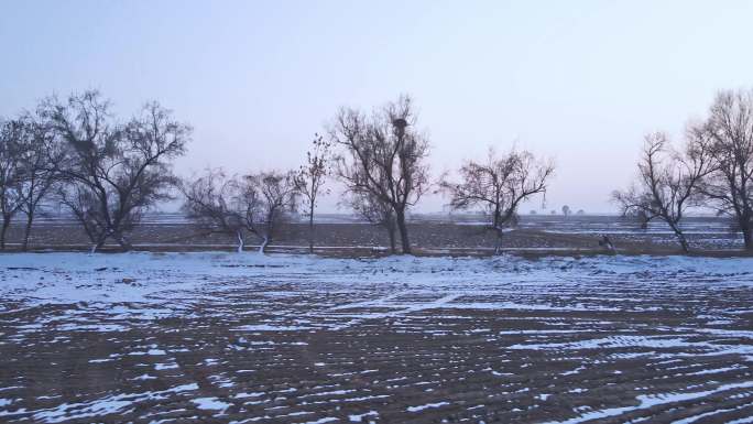 冬季河套平原冰雪田野-26
