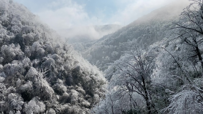 乡村气息：漫天大雪之后美丽雾凇冰羽晶莹9