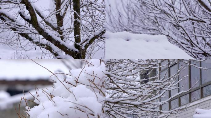 北方农村下雪