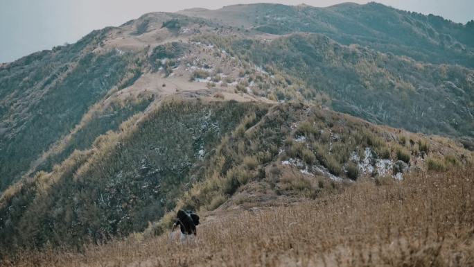 佳 爬山 风景 爬山男子 180帧 云南