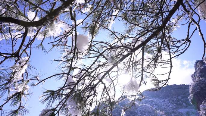 4k冬季山上雪景实拍