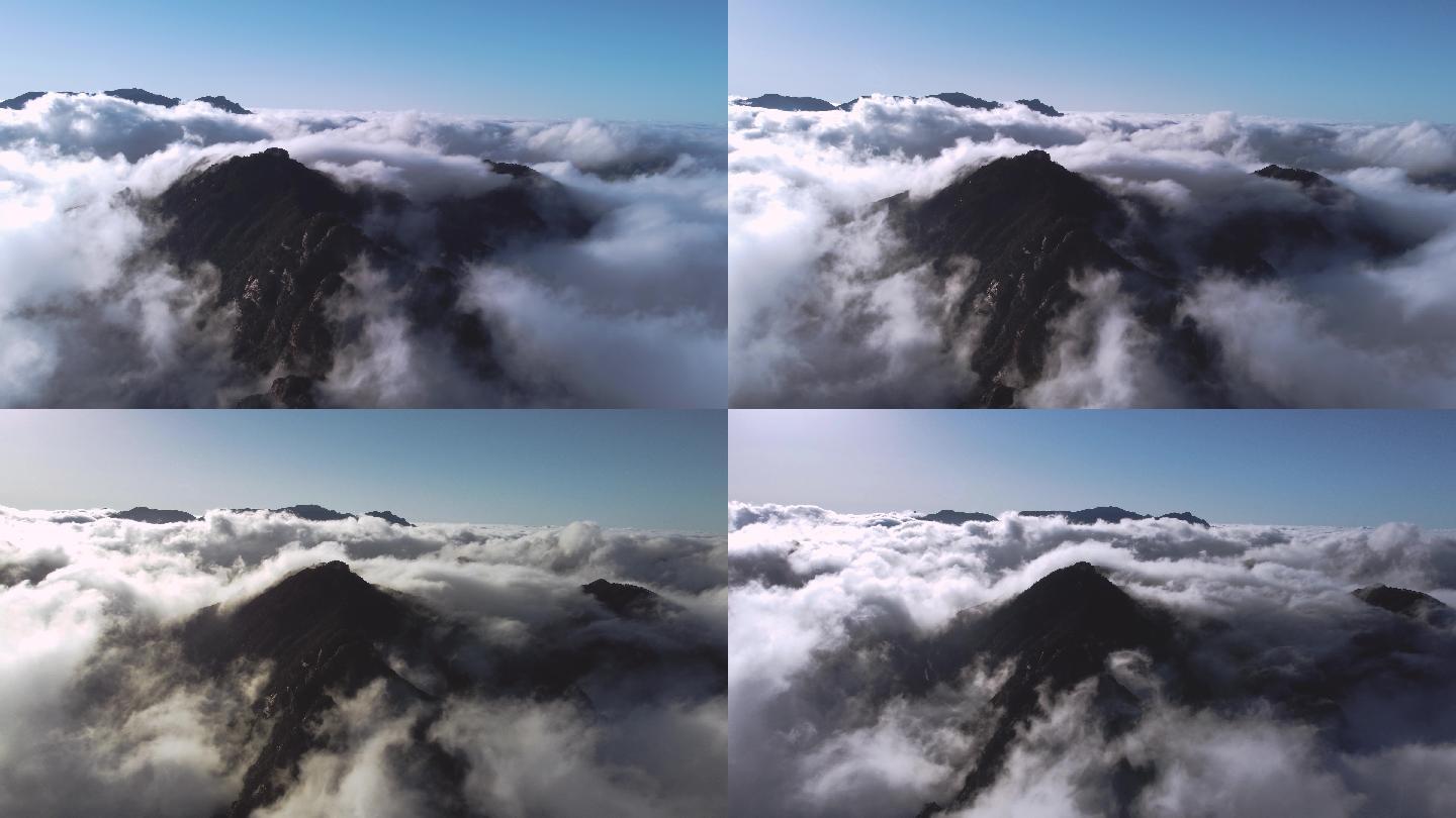 云海航拍 黄山 山 云雾缭绕大自然户外