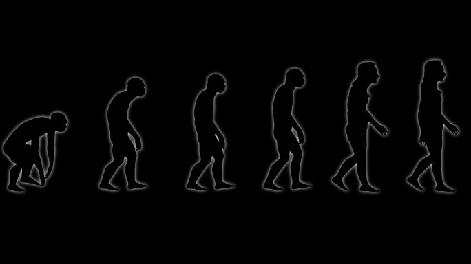 人类进化循环（带通道）