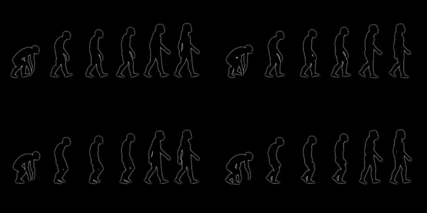 人类进化循环（带通道）