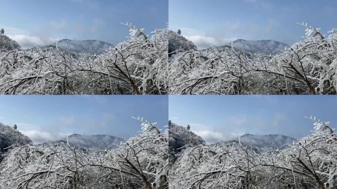 乡村气息漫天大雪之后美丽雾凇冰羽晶莹12