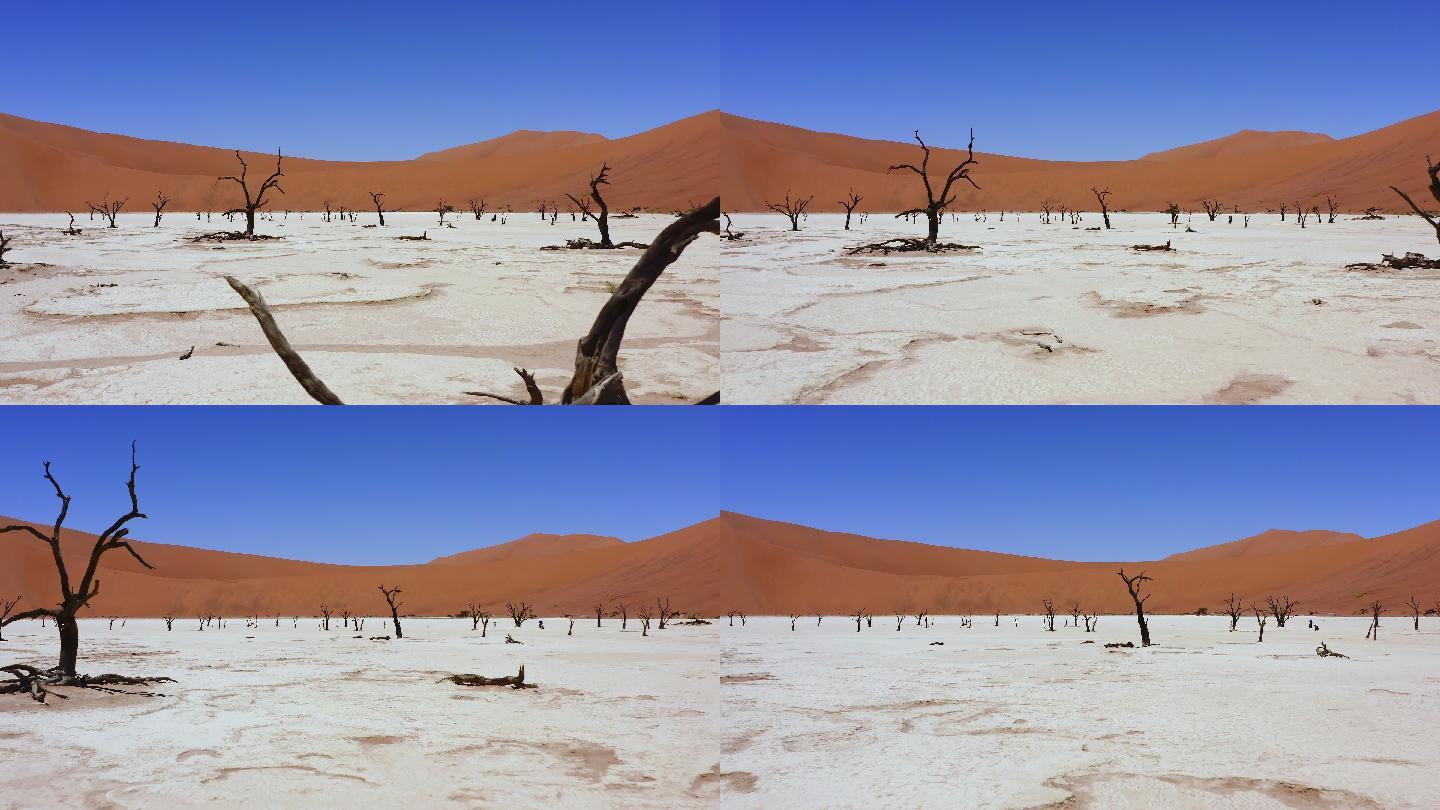 最热的夏天沙漠化干旱缺水荒漠