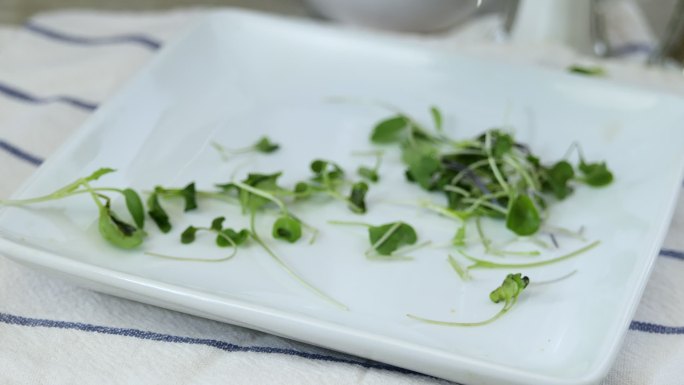 新鲜健康的有机蔬菜落在盘子里