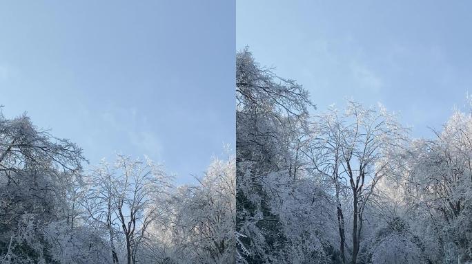 乡村气息：漫天大雪之后美丽雾凇冰羽晶莹3