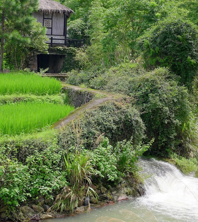 天台著名景点国清风景区国清寺自然景观