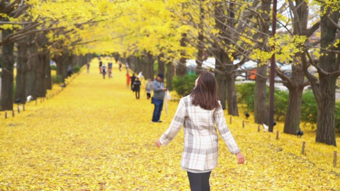 女人欣赏美丽的黄色银杏叶