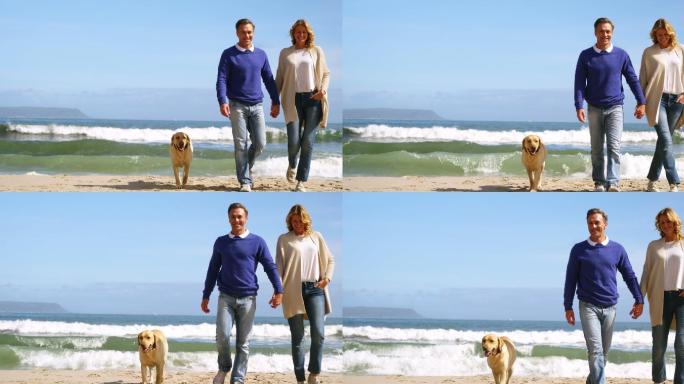 海边散步的夫妇浪漫温馨享受自然悠闲
