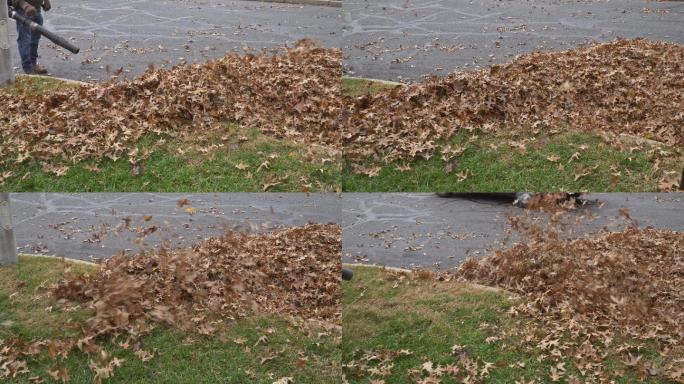 在秋季清理该地区的落叶