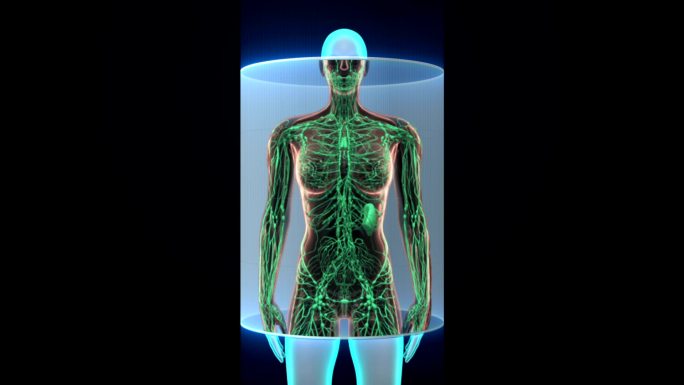 女性人体扫描淋巴系统。蓝色X光。