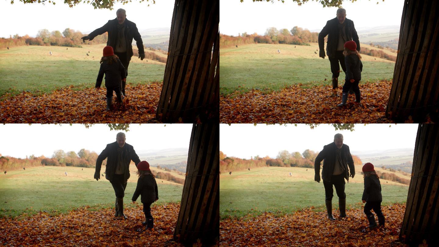 爷爷和孙女在秋日散步时踢树叶