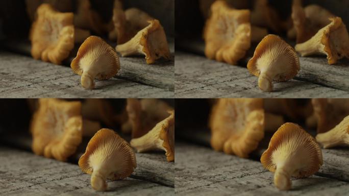 木质复古背景上的蘑菇香菇
