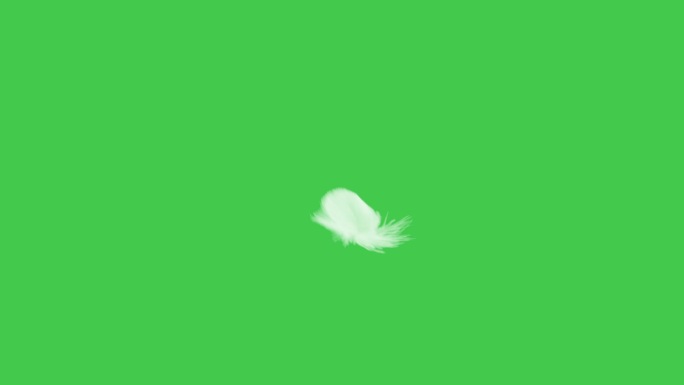 羽毛落下的慢动作绿屏素材