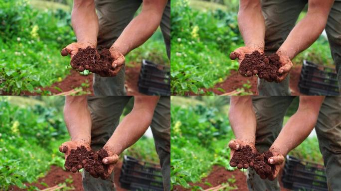农民和园丁用手展示健康土壤