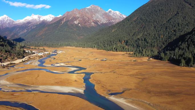 西藏林芝新措的溪流牧场森林和雪山