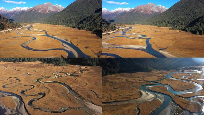 西藏林芝新措的溪流牧场森林和雪山