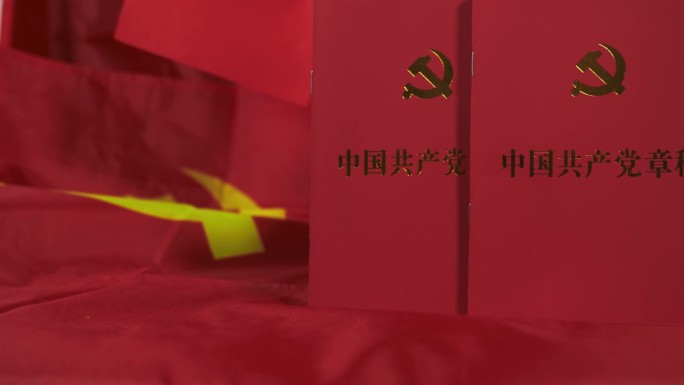 党的章程