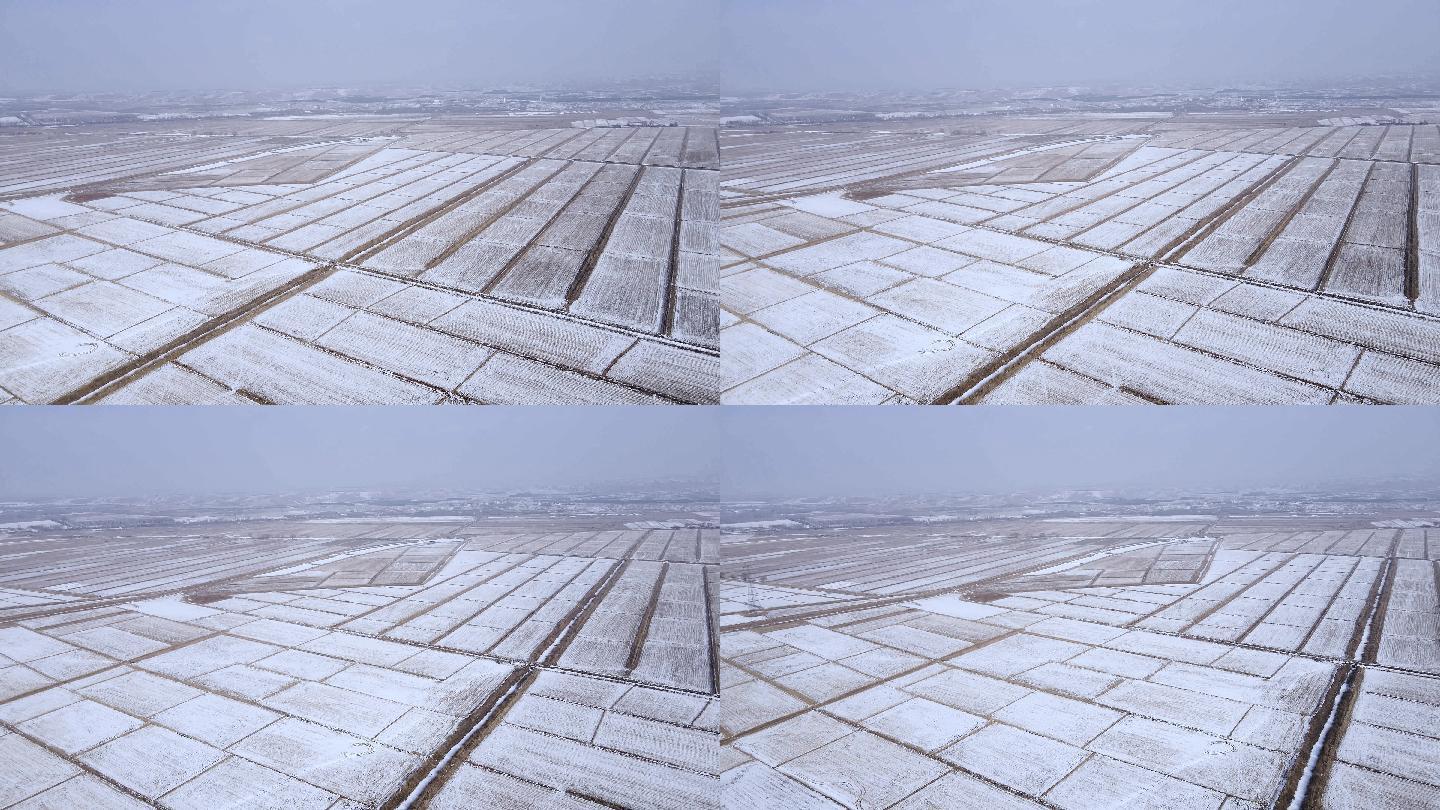 冰雪农业农田平原大地航拍
