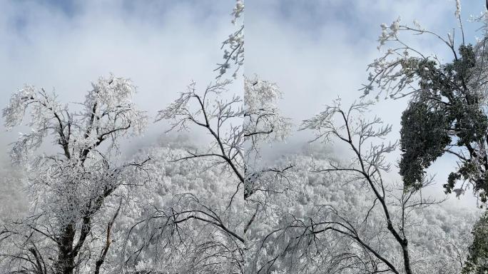乡村气息：漫天大雪之后美丽雾凇冰羽晶莹8