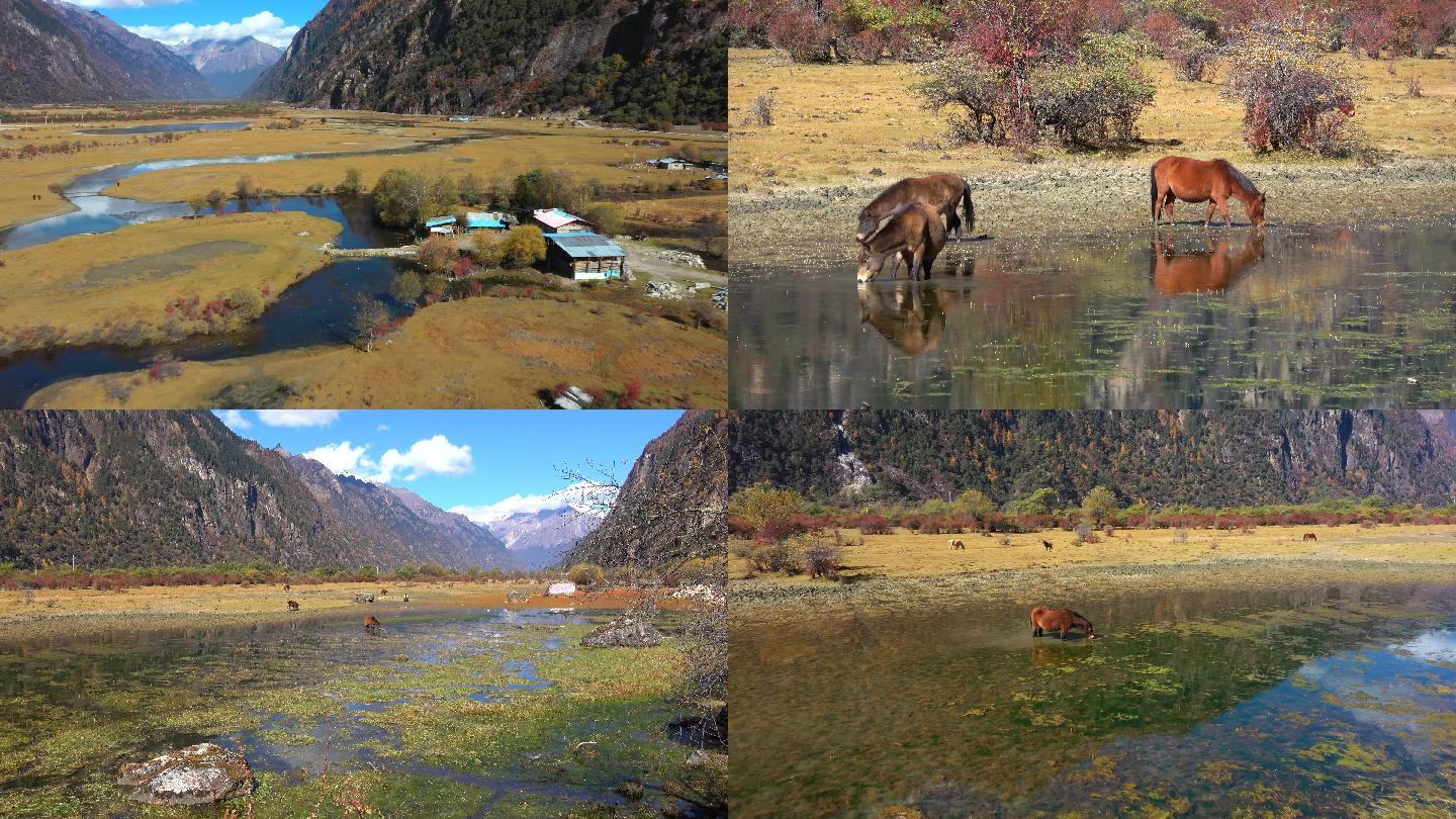 西藏巴松措 措高村牧场湿地和水乡