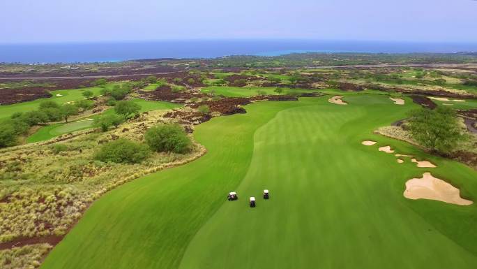 夏威夷高尔夫球手美国草坪外国草地国外风光