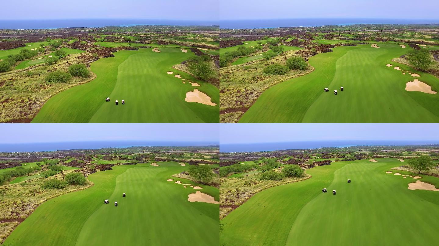 夏威夷高尔夫球手美国草坪外国草地国外风光