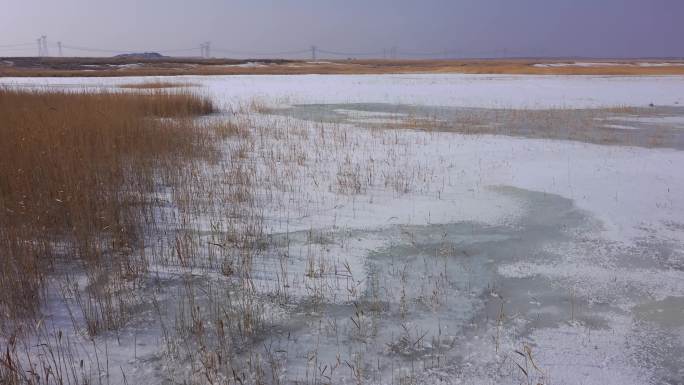 冬季戈壁湿地湖泊