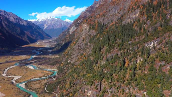 西藏林芝巴松措的峡谷河流森林