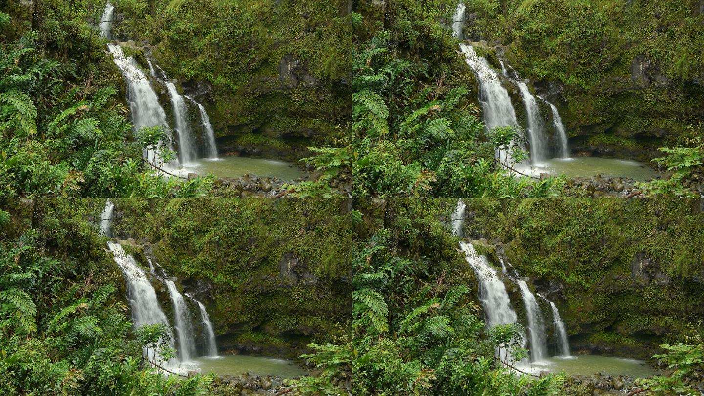 雨林中的瀑布矿泉水农夫山泉水质广告