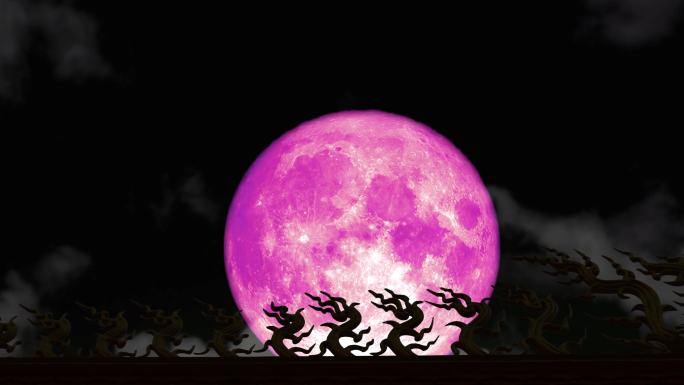 粉色的月亮回到夜空