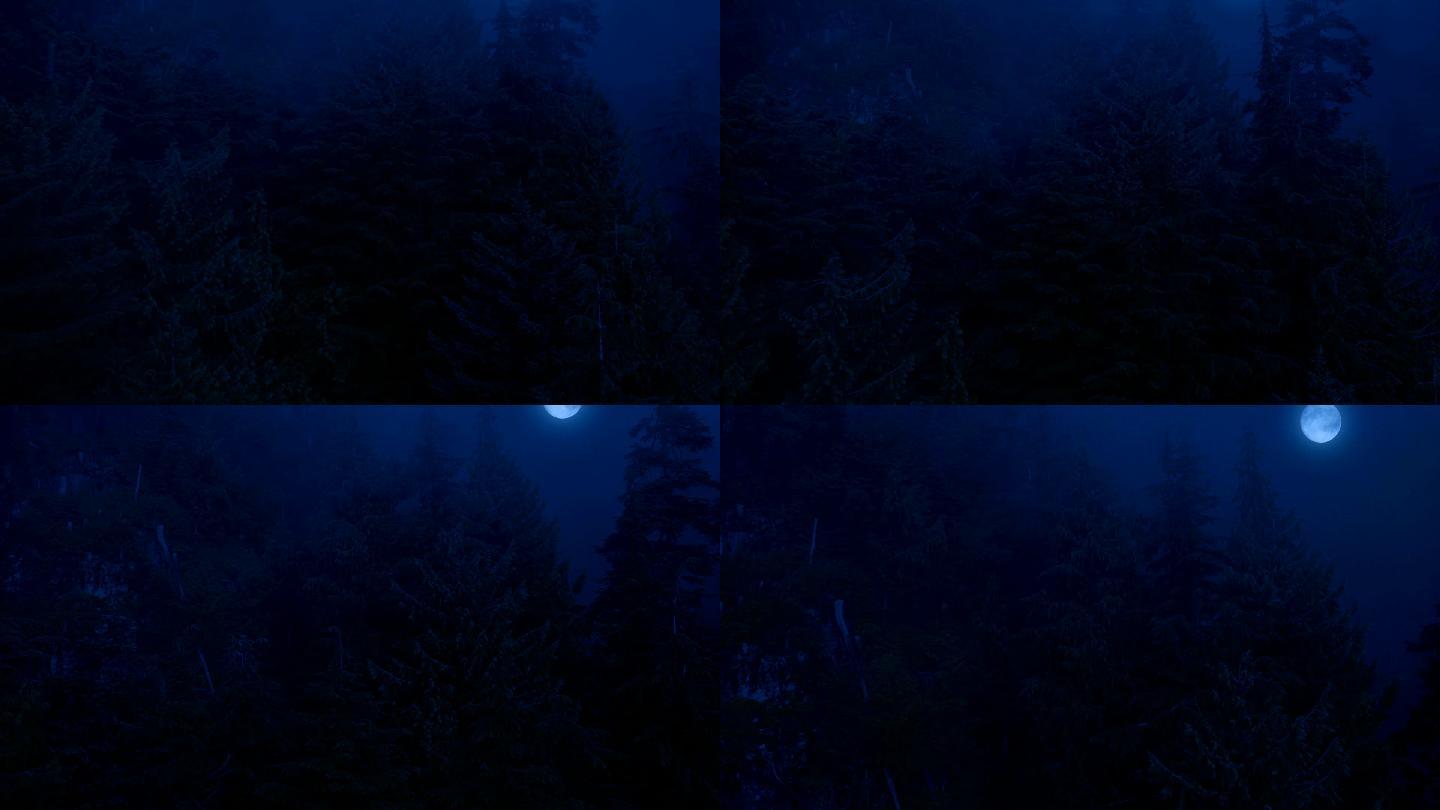 深夜鸟瞰山腰森林圆月树木