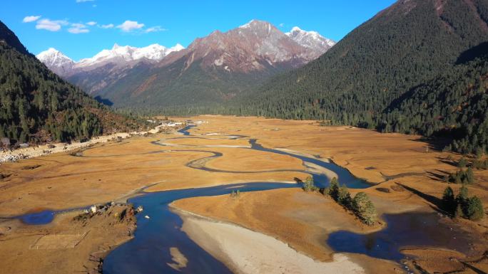 西藏林芝巴松措新措的溪流