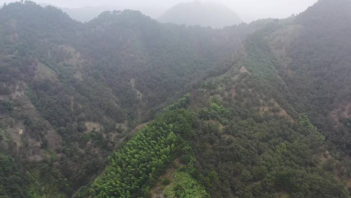 4k 高清 航拍 千岛湖 湖边 房子