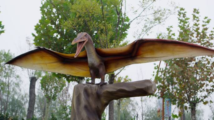恐龙主题公园里的恐龙模型 翼龙