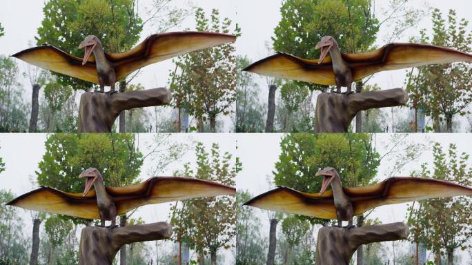 恐龙主题公园里的恐龙模型 翼龙