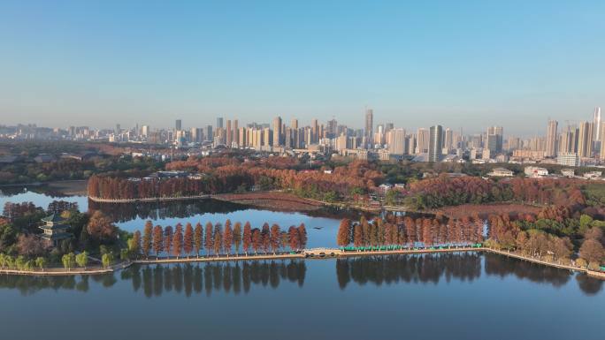 武汉城市大气建筑东湖秋色