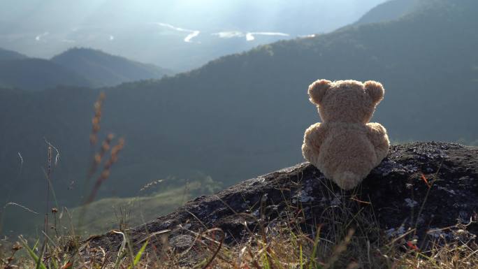 孤独的熊娃娃坐在山顶上。