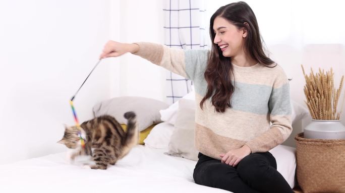 女子在家里逗猫猫咪喵咪萌宠玩耍猫粮广告