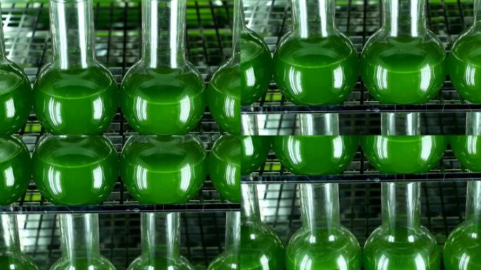 装满绿藻的实验室玻璃器皿