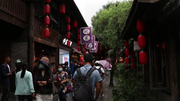 成都 锦里 武侯祠 荷花 竹林 雪景