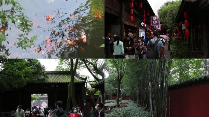 成都 锦里 武侯祠 荷花 竹林 雪景