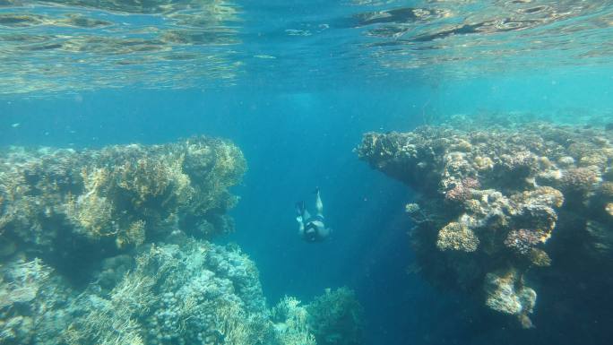 潜水三亚潜水游泳海南海岛