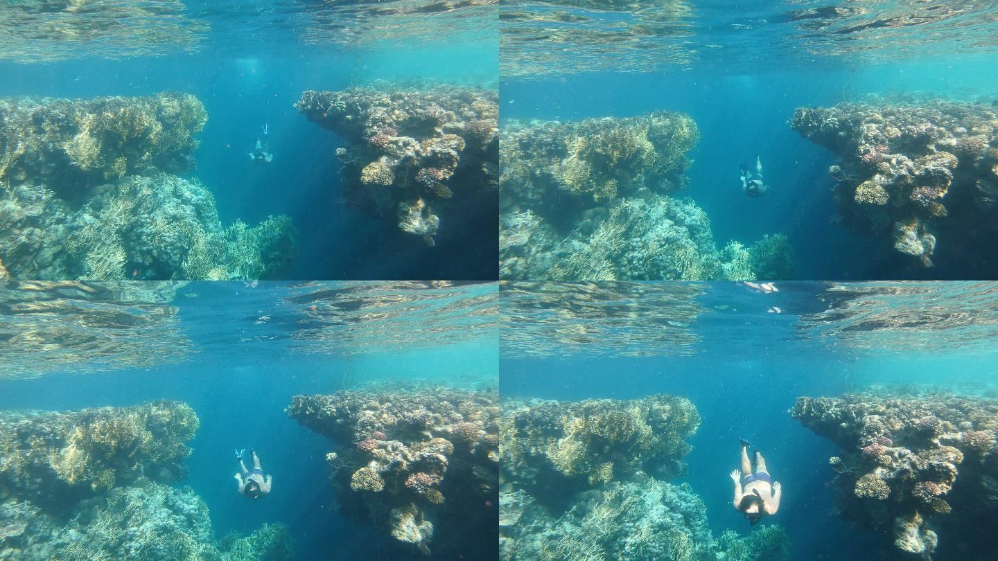 潜水三亚潜水游泳海南海岛
