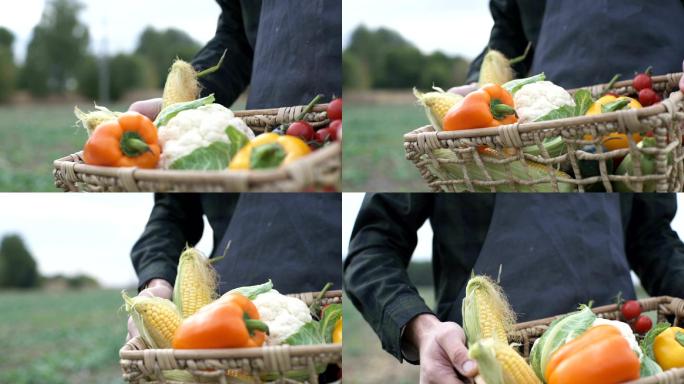 农民手里拿着一盒新鲜采摘的有机蔬菜